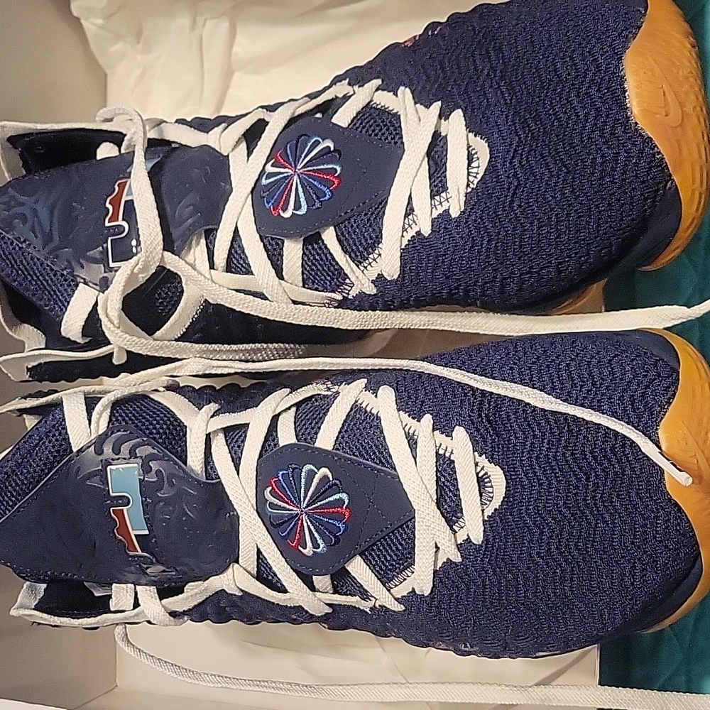 Lebron XVII DT